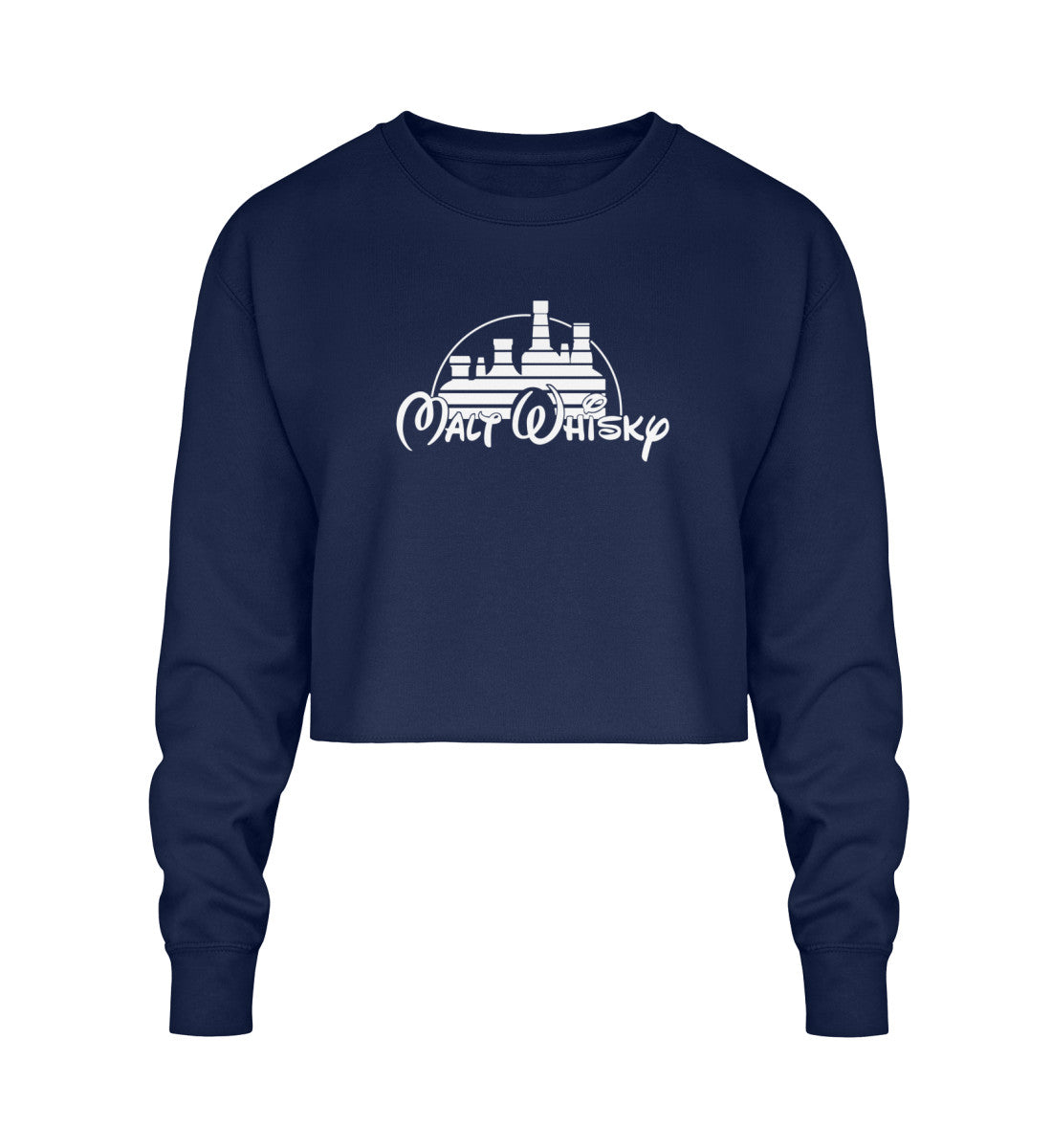 New French Navy-1676