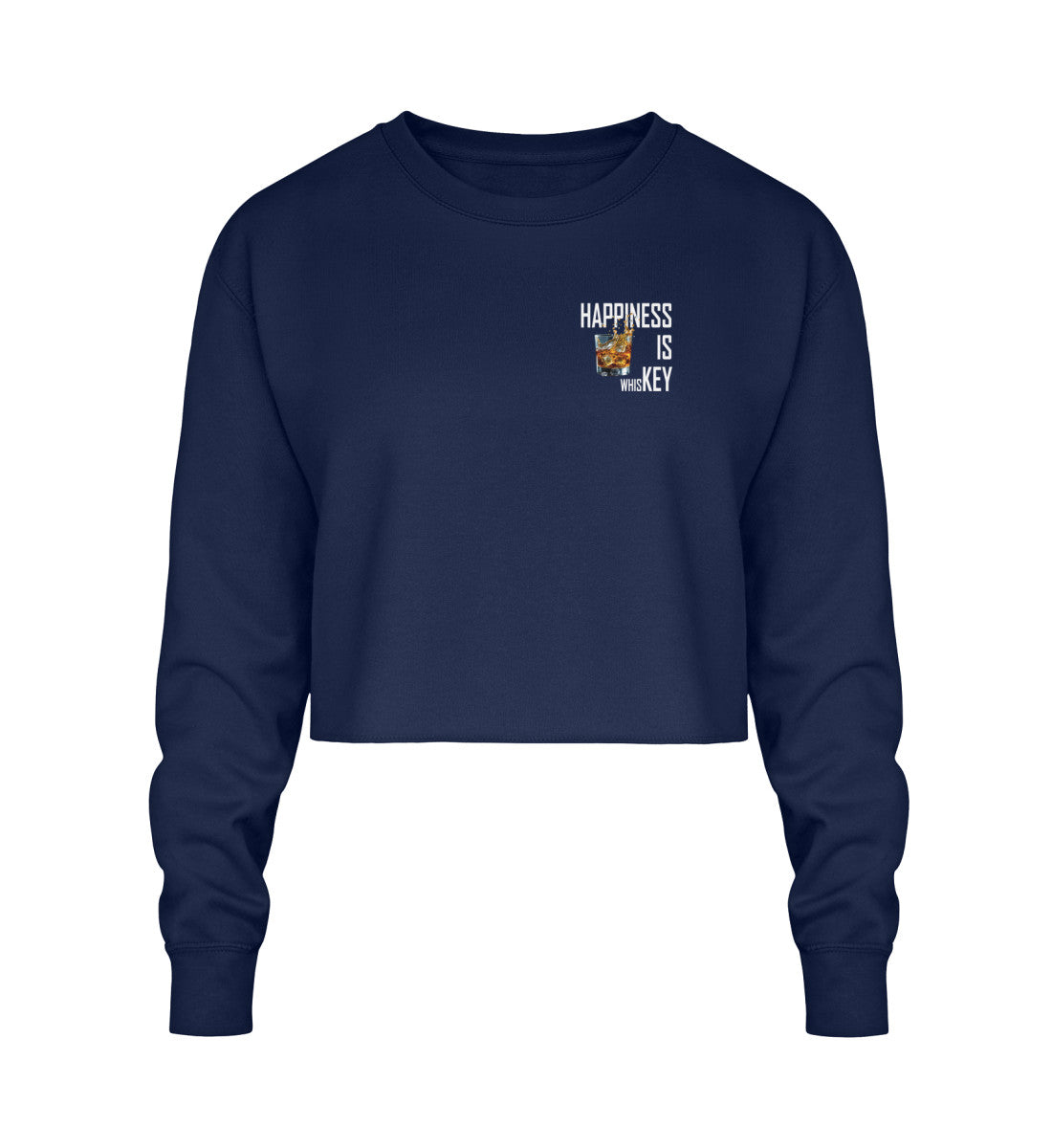 New French Navy-1676