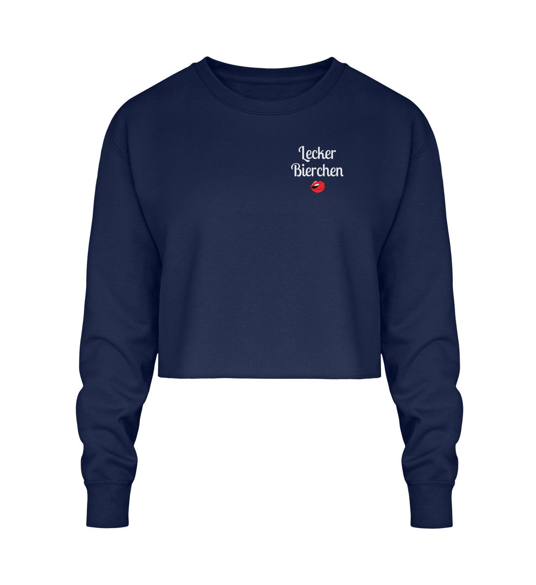 New French Navy-1676